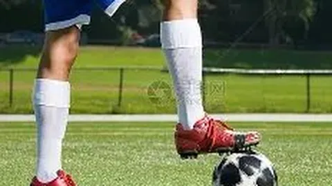 球盟会体育官网 资讯 104428 5pf