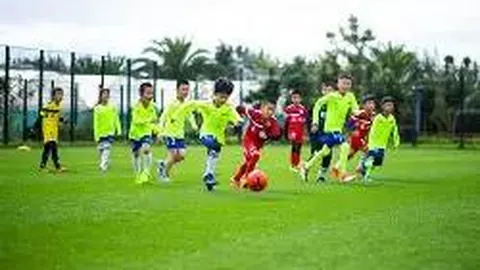 球盟会体育官网 产品 105103 vrg