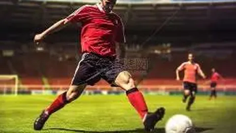 外汇交易可选择的货币种类有哪些？