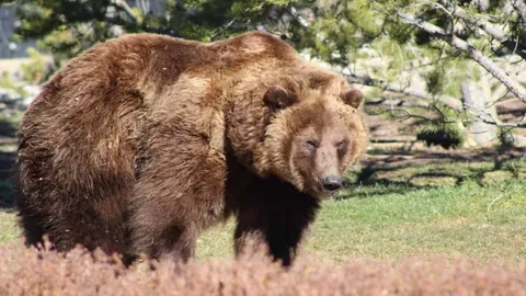 球盟会体育官网 资讯 092324 902