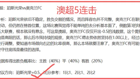 CBA焦点战：北京控股客场连败六期专家质合分析推荐